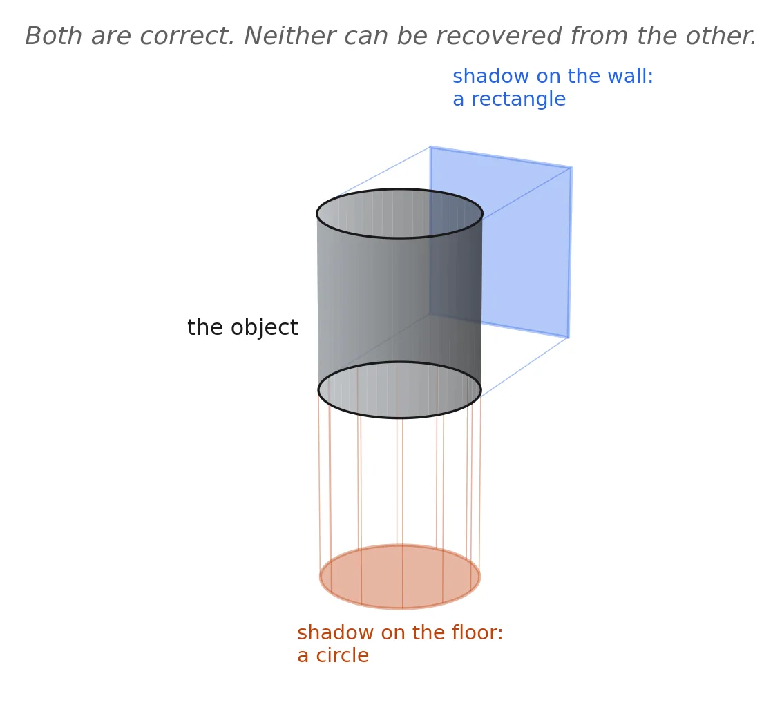 A three-dimensional diagram of a cylinder standing upright, with two projections drawn from it. Below it on a horizontal plane is a filled circle, labeled "shadow on the floor: a circle." Behind it on a vertical plane is a filled rectangle, labeled "shadow on the wall: a rectangle." The cylinder itself is labeled "the object." A caption across the top reads "Both are correct. Neither can be recovered from the other."